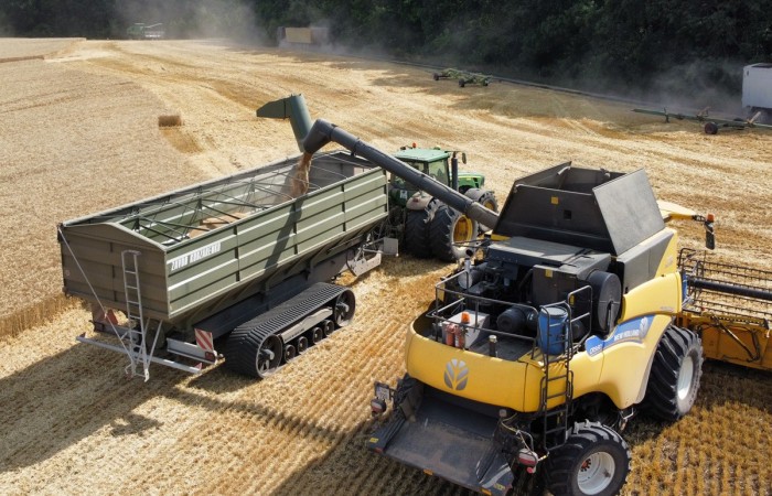 svg+xml;charset=utf-8,%3Csvg%20xmlns%3D Grain Chaser Bin Kobzarenko