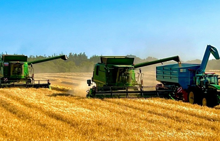 svg+xml;charset=utf-8,%3Csvg%20xmlns%3D Grain Chaser Bin Kobzarenko