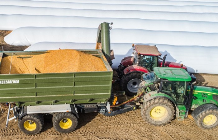 svg+xml;charset=utf-8,%3Csvg%20xmlns%3D Grain Chaser Bin Kobzarenko