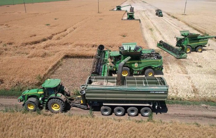 svg+xml;charset=utf-8,%3Csvg%20xmlns%3D Grain Chaser Bin Kobzarenko